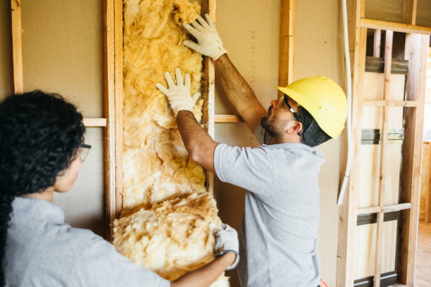 Best Insulation Removal  in Schuylerville, NY